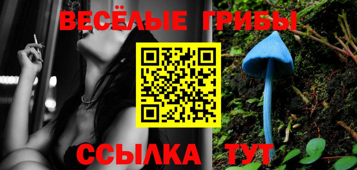 Псилоцибиновые грибы Magic Shrooms Минусинск