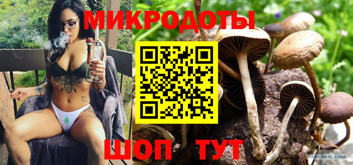 Псилоцибиновые грибы ЛСД  купить наркотики сайты  Минусинск  Вход с VPN  Псилоцибиновые грибы MAGIC MUSHROOMS 